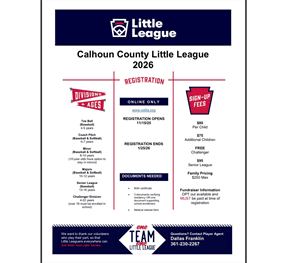 Calhoun County Little League hero