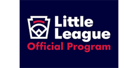 Lowell Little League (Mi) hero