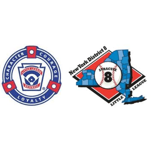 Solvay Tigers Little League hero