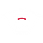 Swansea Little League logo