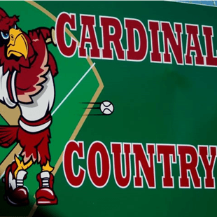 Johannesburg-Lewiston Area Little League hero