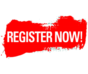 Warwick Little League hero