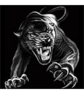 Milton Little League logo