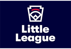 Elyria Little League hero