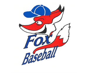 Fox Township Little League hero