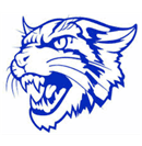 Evart Little League logo