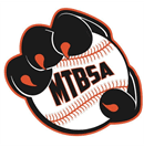 Middle Township Baseball And Softball Association logo