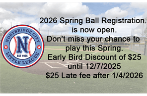 Northridge City Little League hero