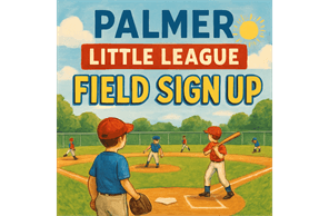 Palmer Little League hero