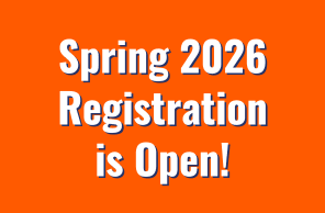 Peter Stuyvesant Little League hero