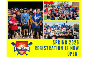 Woodland Hills Sunrise Little League hero