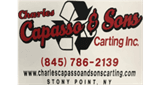 Sponsor logo