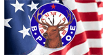 Sponsor logo
