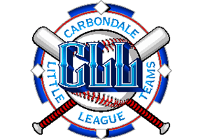 Carbondale Little League Baseball hero
