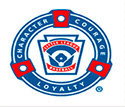 Bayshore Little League hero