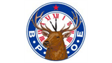 Sponsor logo