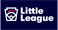 Shasta Dam Area Little League hero