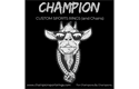 Sponsor logo