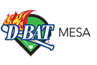 Sponsor logo