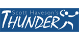 Sponsor logo