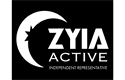 Sponsor logo
