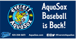 Sponsor logo