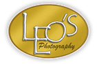 Sponsor logo