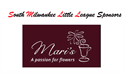 Sponsor logo