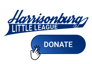 Harrisonburg Little League hero