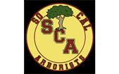 Sponsor logo