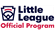 Delton-Kellogg Little League hero