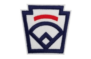 Portville Little League hero