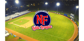 Niagara Falls Little League hero