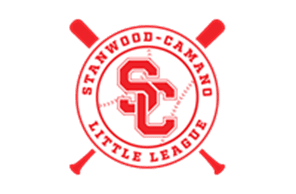 Stanwood Camano Little League hero