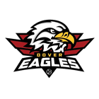 Dover Diamond Sports logo