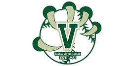 Vestal Little League Baseball hero