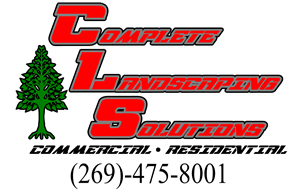 Vicksburg Little League hero