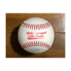 Wells-Ogunquit Little League logo