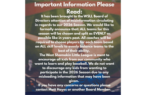 West Shamokin Little League hero