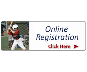 Ypsilanti National Little League hero