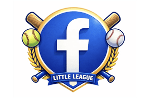 Washington Wilkes Little League hero