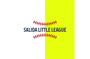 Salida Little League hero