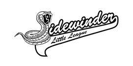 Sidewinder Little League hero