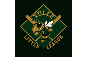 Yulee Little League hero