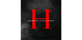 Holbrook Little League (Me) hero