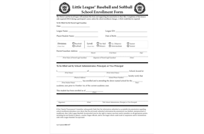 Midland Trail Little League hero