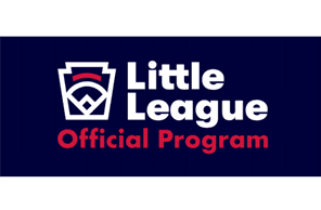 Brownsburg Little League hero