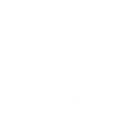 Coginchaug Little League logo
