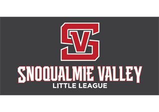 Snoqualmie Valley Little League hero