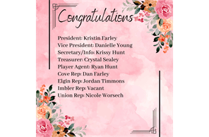 Union County Little League hero